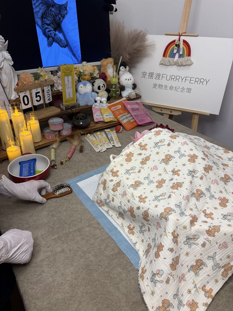 新乡宠物火化全流程拆解：一枚骨灰需要多久