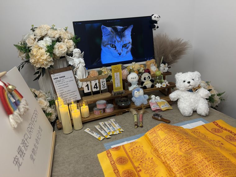 在新乡，当宠物离世后家人需要多久才能走出来